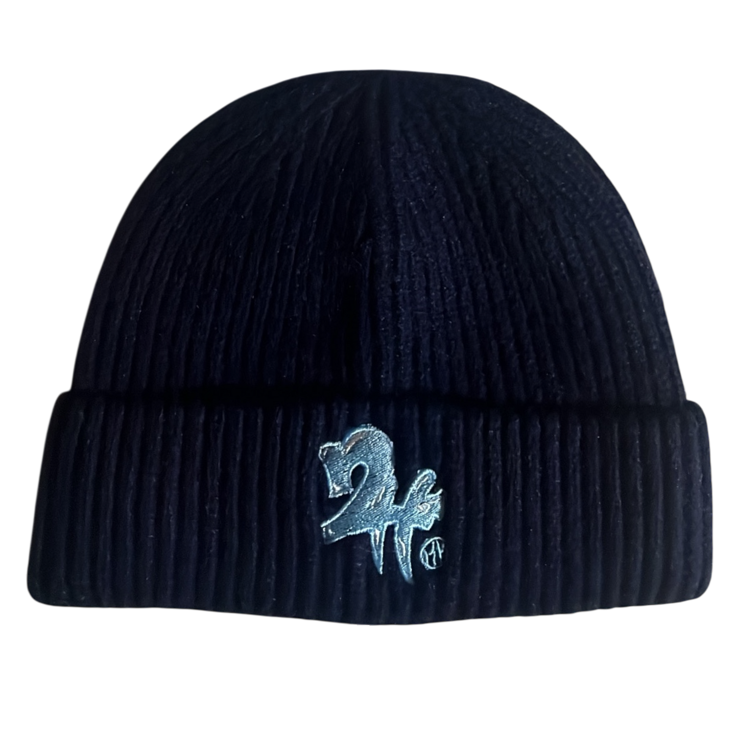 2H Fisherman Beanie