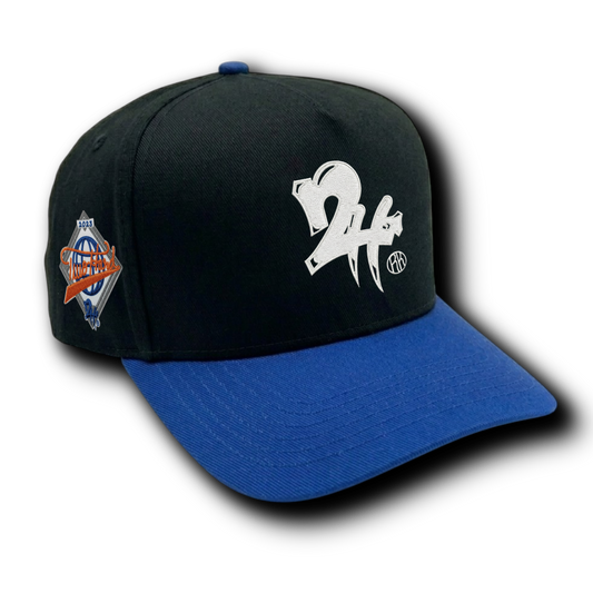 Universal 2H Two Tone Snapback